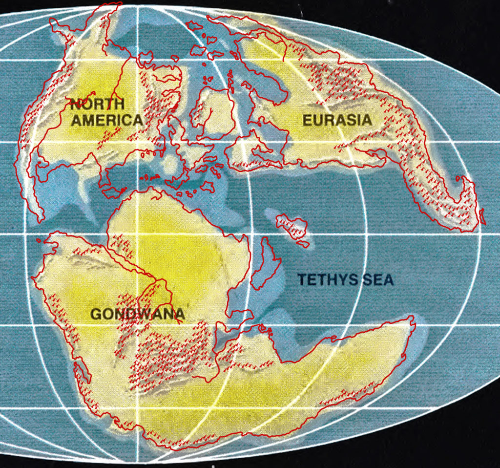 Master Set world map outlines on top of the Continents in Collision map